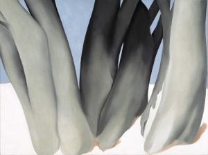 Georgia O'Keeffe, Bare Tree Trunks with Snow, 1946, Dallas Museum of Art, Dallas Art Association Purchase.